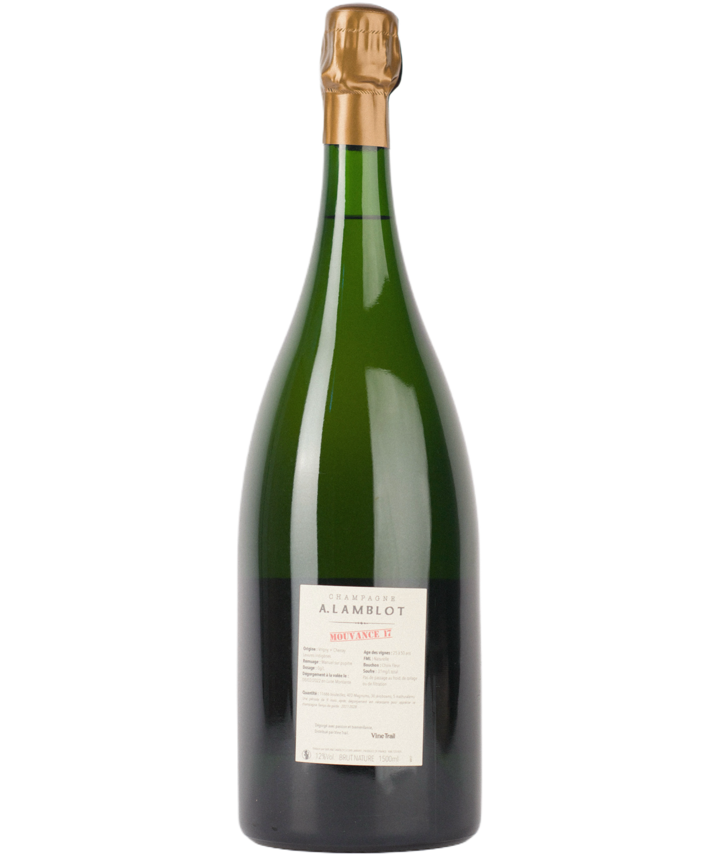 Alexandre Lamblot 'Mouvance Magnum ' 2017