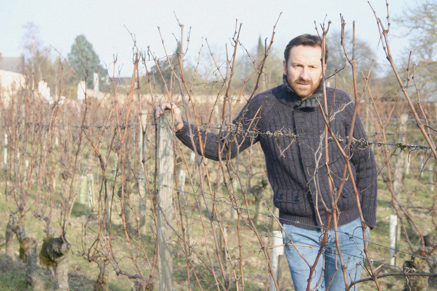 Domaine des Roches Neuves 'Clos Romans' 2022