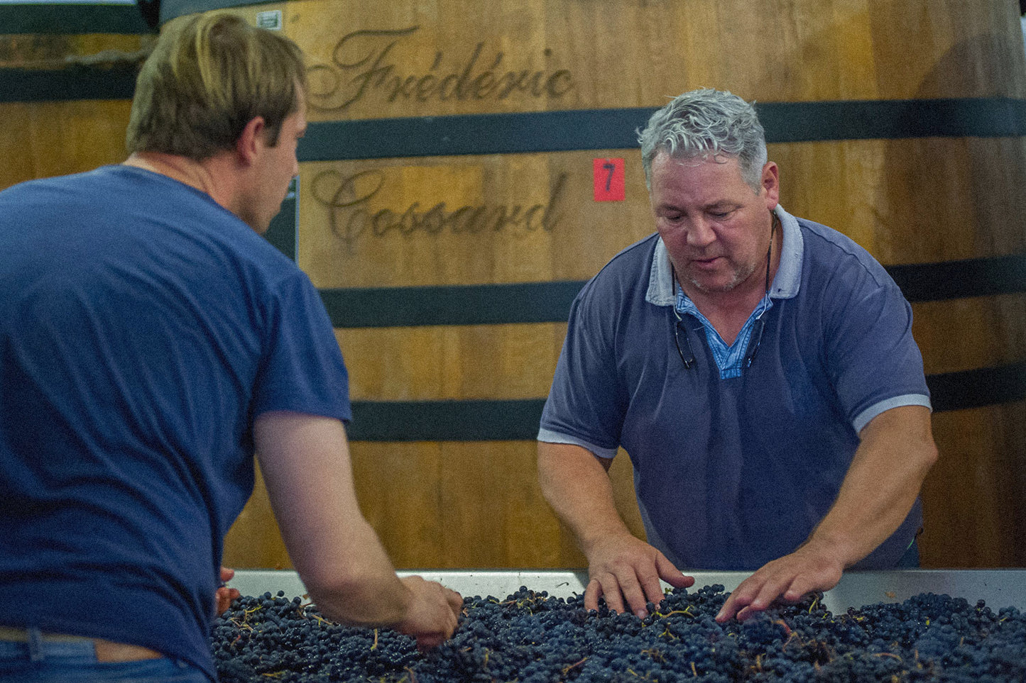 Domaine de Chassorney ‘Volnay 1er Cru Le Ronceret’ 2022