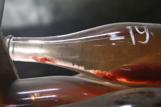 Defects in wine