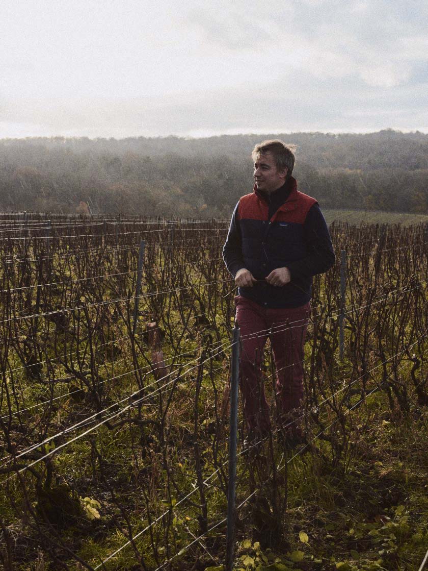 Berêche et Fils 'Brut Réserve' NV