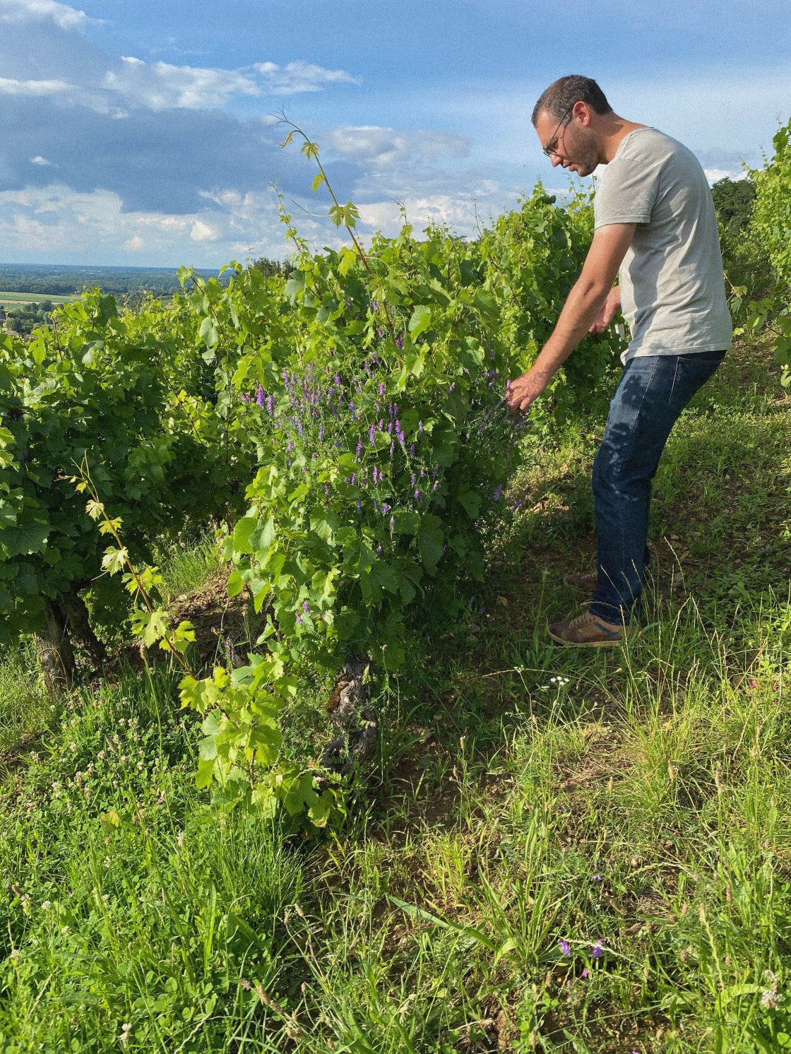 Domaine Overnoy 'Crémant du Jura Rosé' 2018