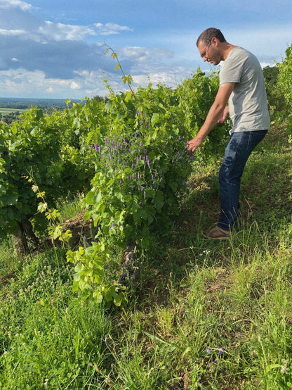 Domaine Overnoy 'Crémant du Jura Rosé' 2018