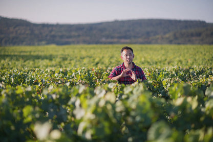 Petit-Roy 'Fleurie' 2021