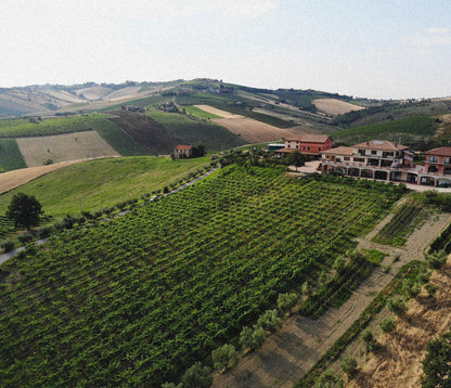 Emidio Pepe 'Trebbiano D’Abruzzo’ 2021